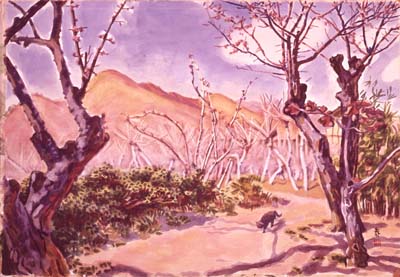 赤城泰舒　野の梅