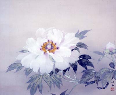 須田珙中　牡丹